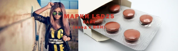 молекула духа Алзамай
