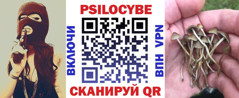 Псилоцибиновые грибы прущие грибы  купить наркотики сайты  Находка 